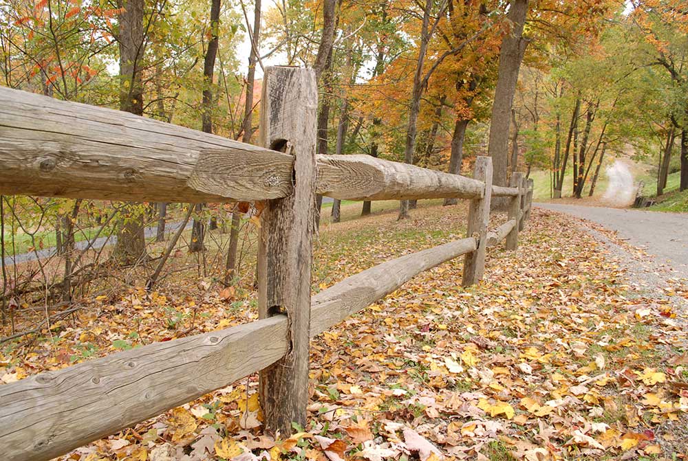 Split Post Wooden Split Rail Fence - Posts – Penn Fencing, Inc.