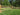 Wooden Split Rail Fence - Panels